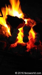 Marshmallows on an open fire