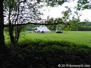 Tent visible from the woods