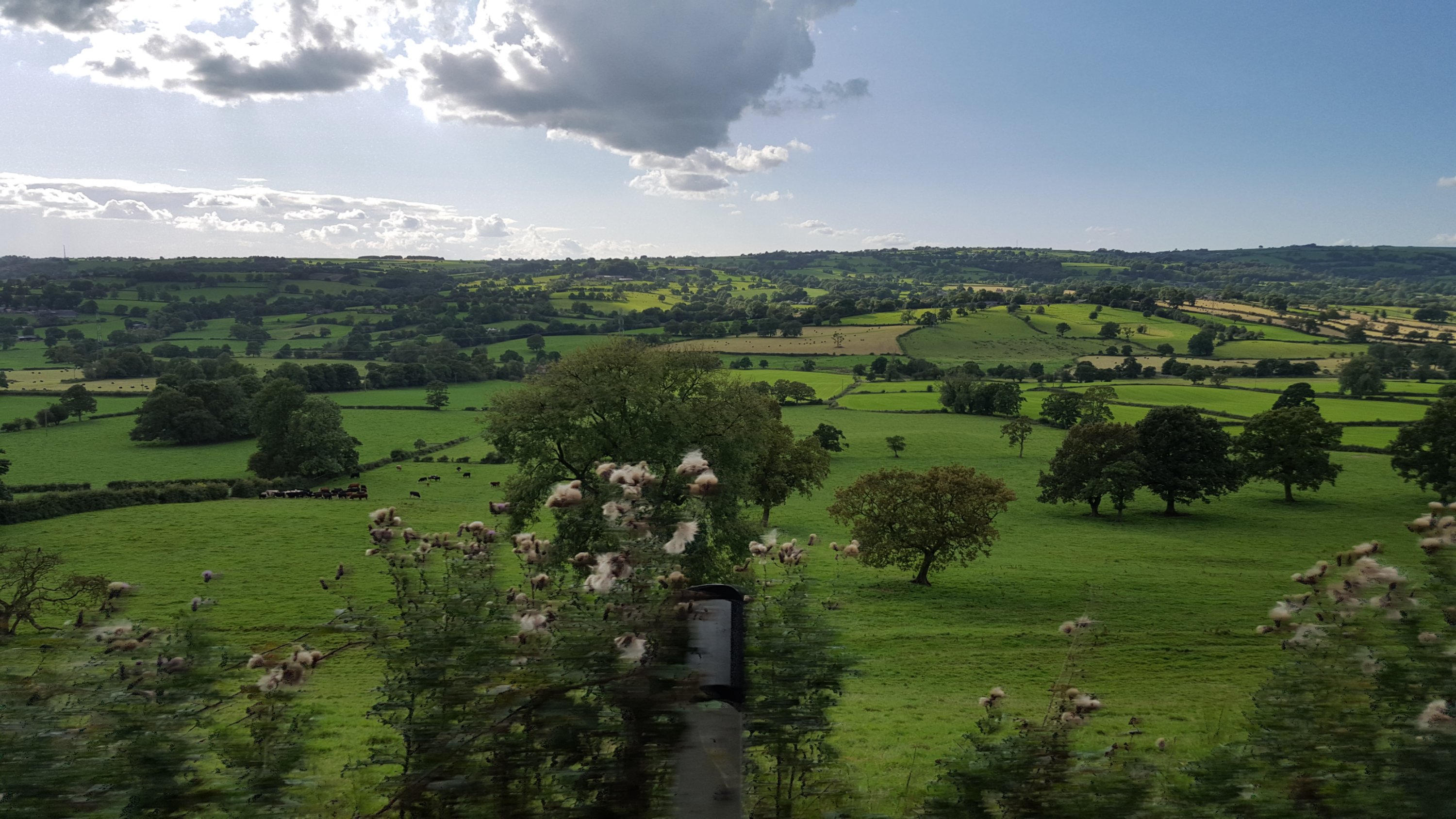 Staffordshire Countryside view